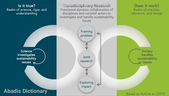 transdisciplinary research